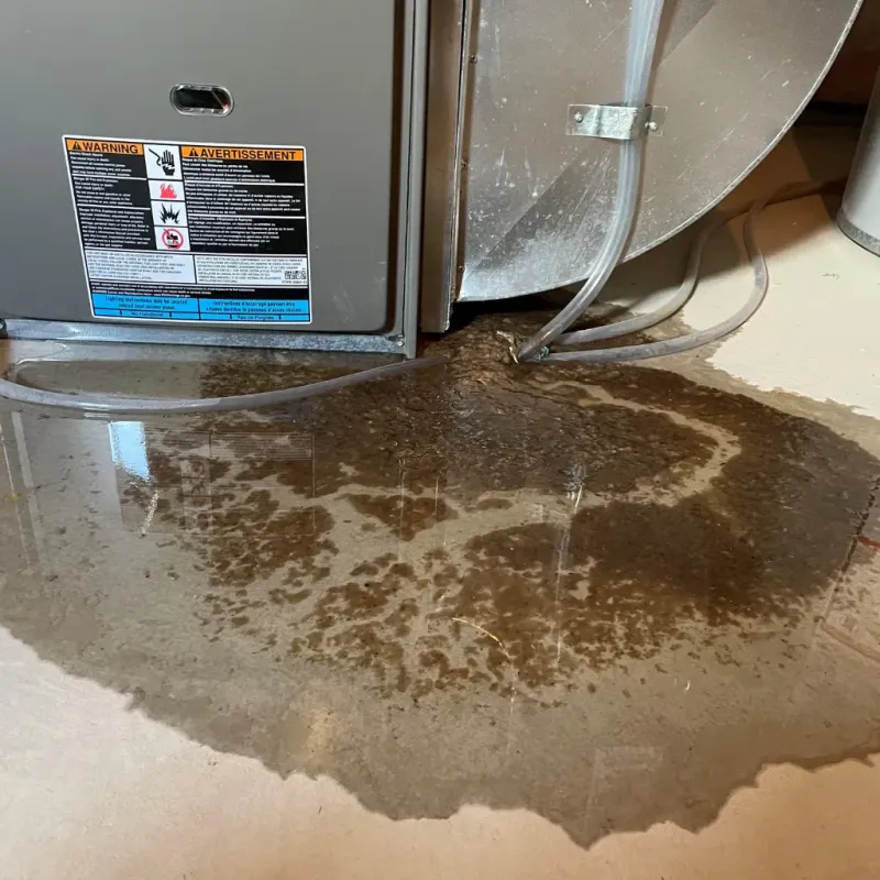 Appliance Leak Cleanup in Calhoun County, AL